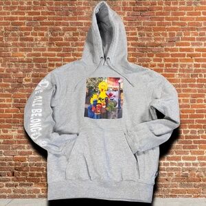Vans x Sesame Street Iconic Collab 90s style Hoodie S Gray Unisex Skater Chic
